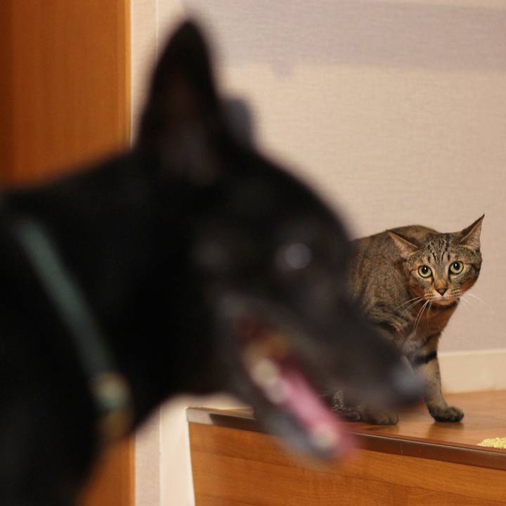 7352d393 5e4e 4097 8ad4 d99aa5a38430 1535715400777