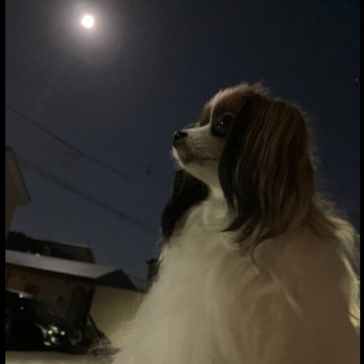 7352da4d 45f7 4d9d 8d3c 587a6fe44487 1695989516102