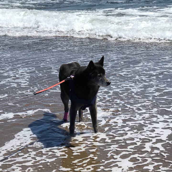 7353054d 1191 444c 90e9 07df7f4c823d 1650688190423