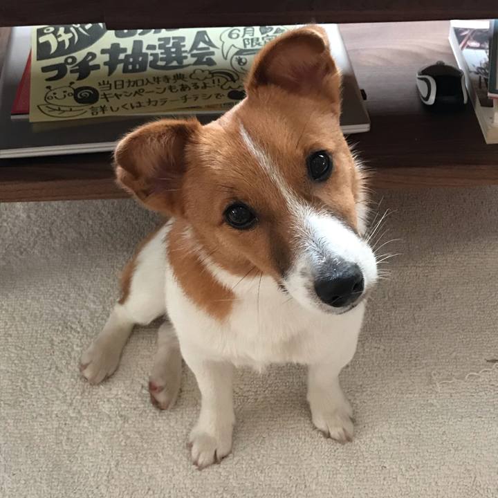 73531b92 72c5 40ac 9fe7 a4febccc9c8e 1588553843828