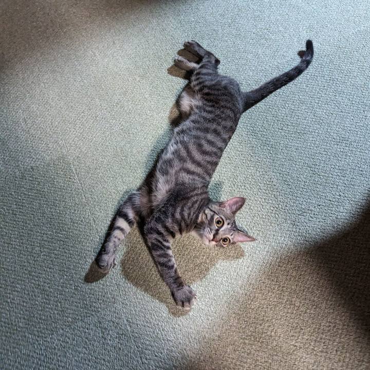 73532a10 e61b 4439 8d78 b84e0780c070 1708400709072