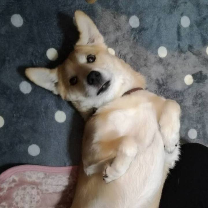 7353642d bb9e 47a7 a4aa c2901f27261b 1543138549788