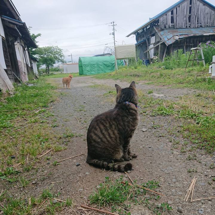 73536e47 42b3 41d5 a316 618af0137e9a 1655242964904