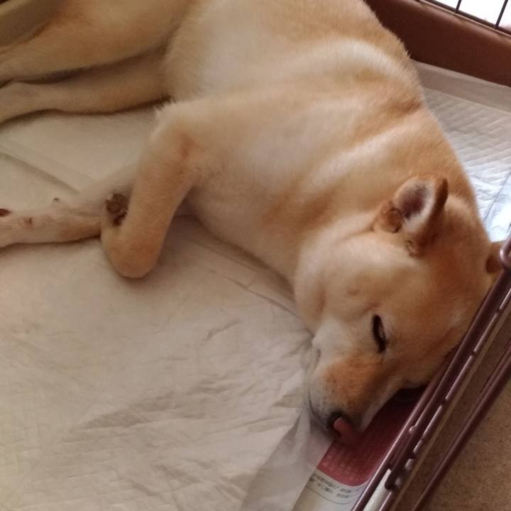 735380a6 8e35 4b75 8b45 ac68824ecb92 1592186403846