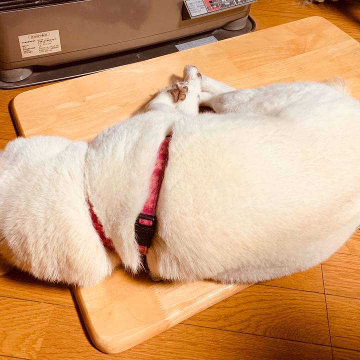 73539b9b 8577 4a05 a9e1 81572c1fb5ba 1574380239390