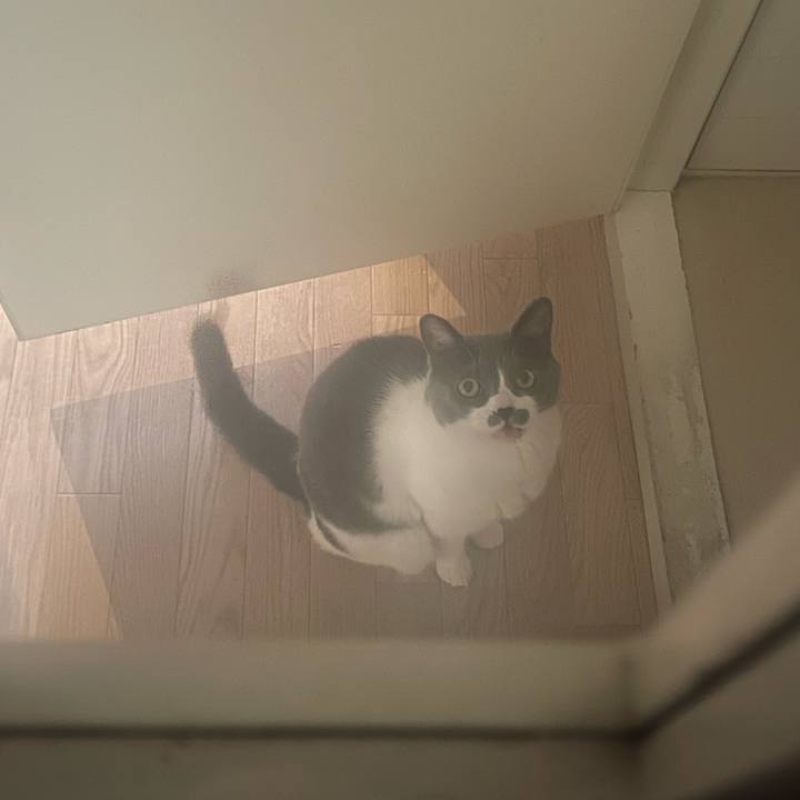 73540bc8 7e47 4613 8026 623275834ccf 1745041445699