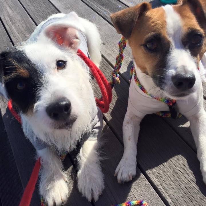 73541f54 5117 4a4c a3f6 e6879cd08225 1664491724934