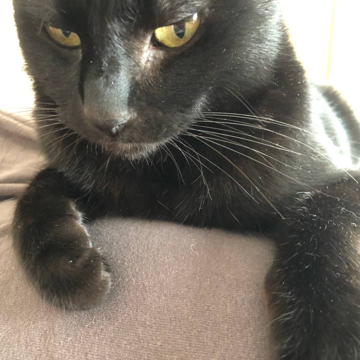 7354428c 0ab2 4d55 9c73 9e4ceb672703 1680308608437