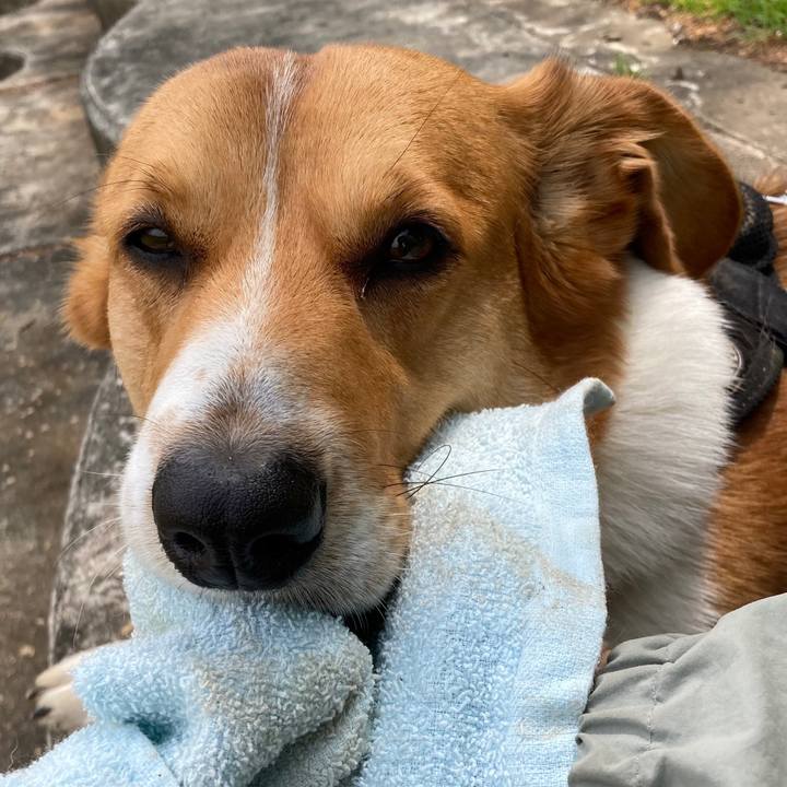 73547324 7704 4109 8790 5aae01a557f8 1682377052163