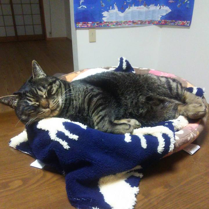 73547c31 0d21 413f 9957 4e979ebb3b59 1545487934381