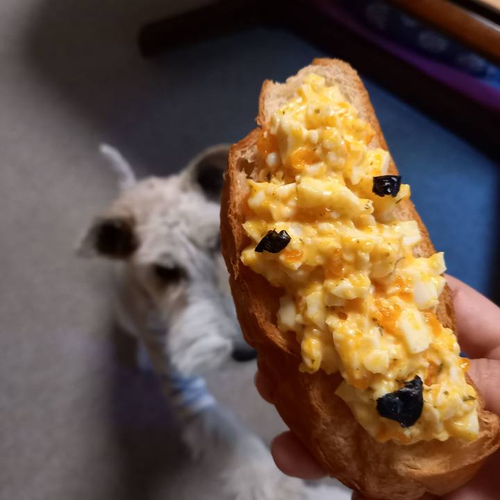 7354af16 b784 4042 aa18 6f4741a1b9c8 1618103752482