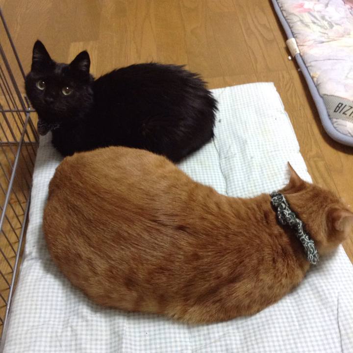 7354c127 2148 4913 8ddc e8bdbdb92ce4 1579259703419