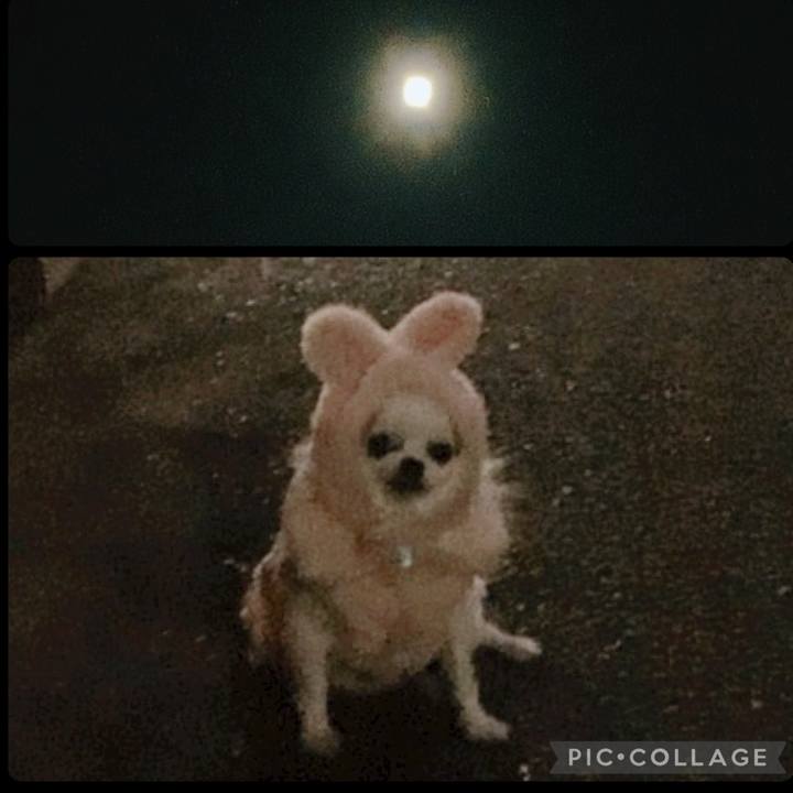 7354e6fd 429b 4aef a41c 32e5be89c867 1736863115723