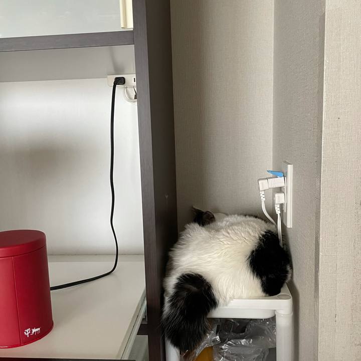 7354ea6b cebe 4727 b5cc 2b479b95f605 1622417702036