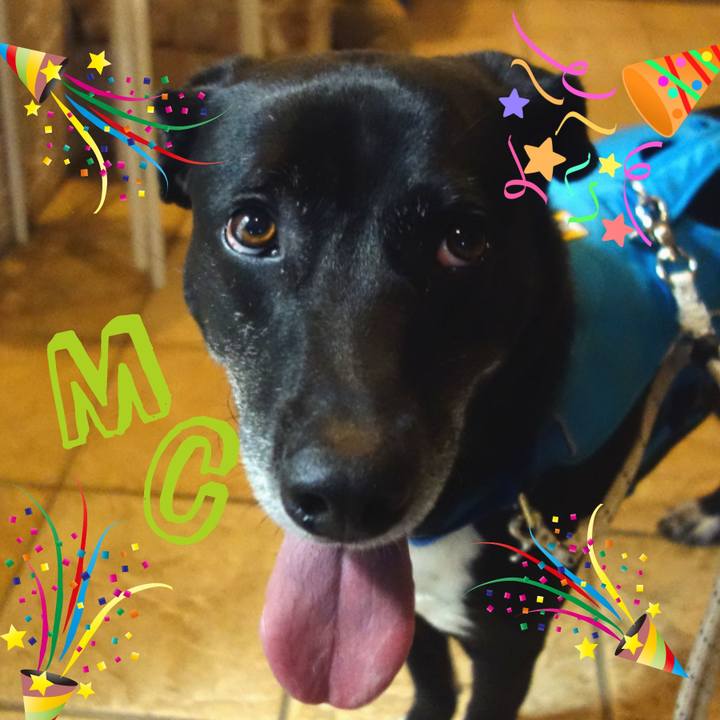 7354fbb9 ecfd 412a 9c65 7acce86a376f 1685187248451