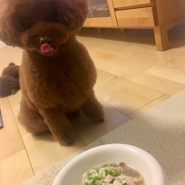 73551559 79cd 4f37 8777 5c1521669c7f 1532299002710