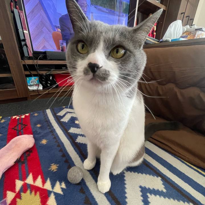 735534e8 91e4 49de 8346 fd5356ab9bac 1671326946421