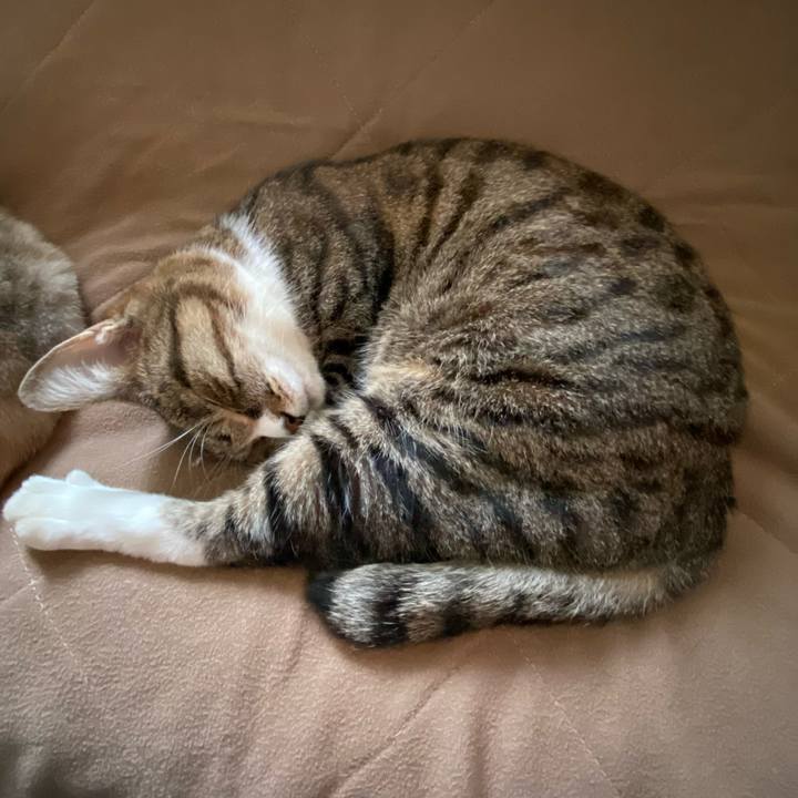 735563fa 45d5 4e5e 8b4d 8420a9aed436 1655129890541