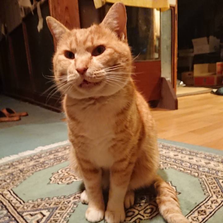 73558db5 37d6 433e abf4 a78898e1da30 1577090466552