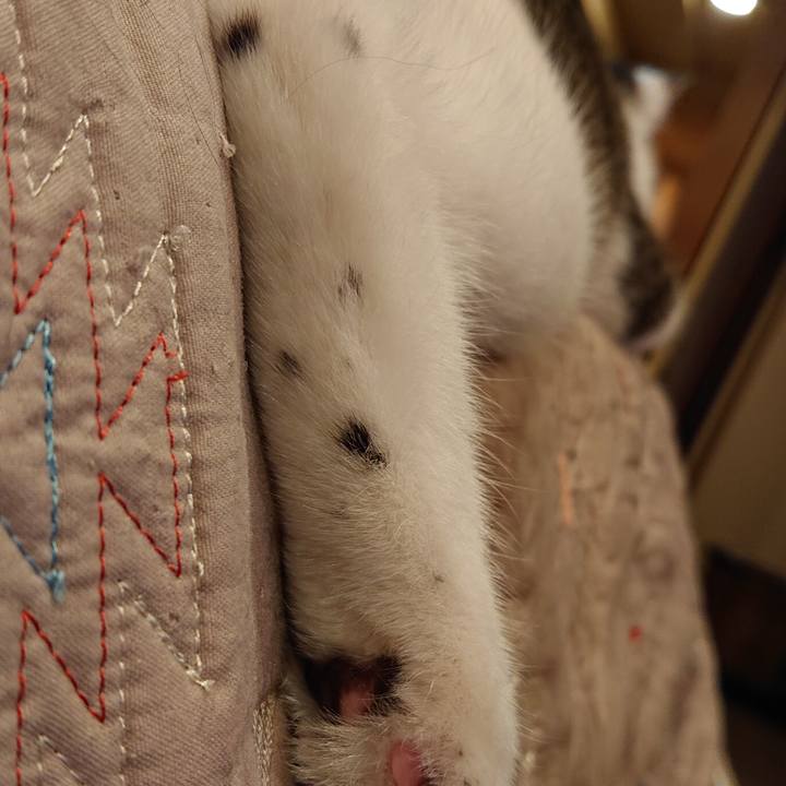 73559a00 eff5 426b af4d 70c593bcb211 1559793583199