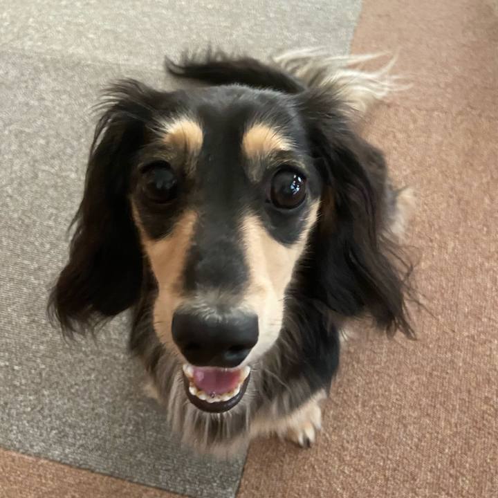 7355cb1e accb 4cfe 8f96 1146bf4c1bc5 1752104534595