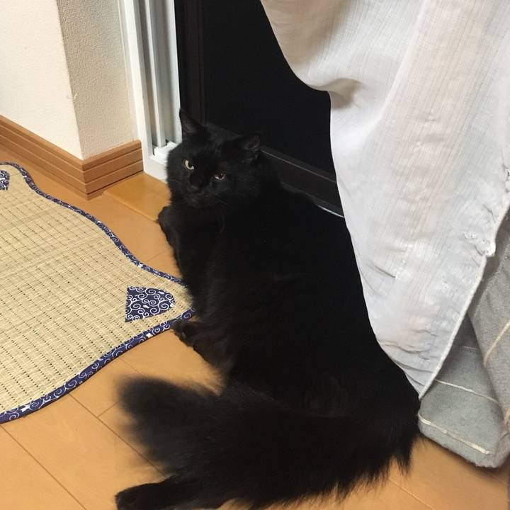 7355e3ce ebc5 4257 9379 3530677dfe56 1533123396537