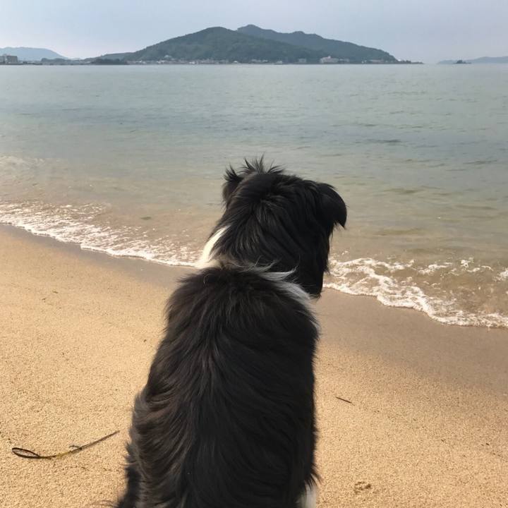 7355f261 9d12 411a 8509 679c44e25d2a 1528105043645