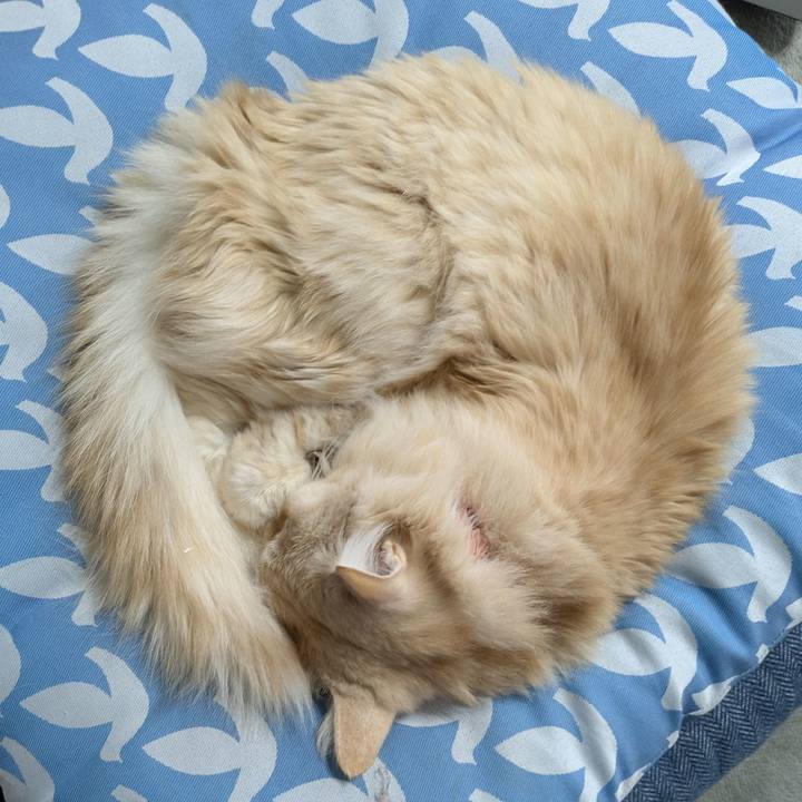 735633cf 4888 4f48 b78a 780aae7c0c4a 1768962241865