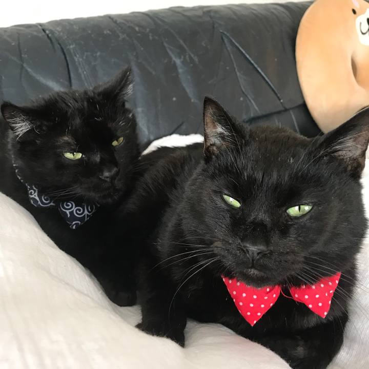 73564088 6a7e 4910 9516 df853607c2f5 1561250056911