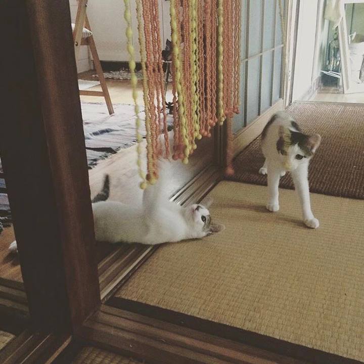 73567643 3803 4715 8c75 5a456694c94c 1521435090700