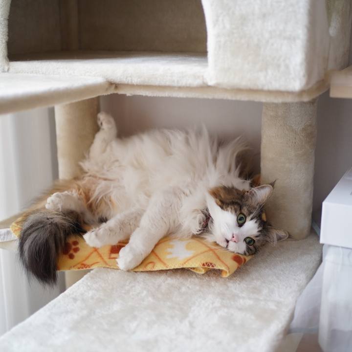 7356934f e258 436d 86dc 20ab2772d1a5 1617081289395