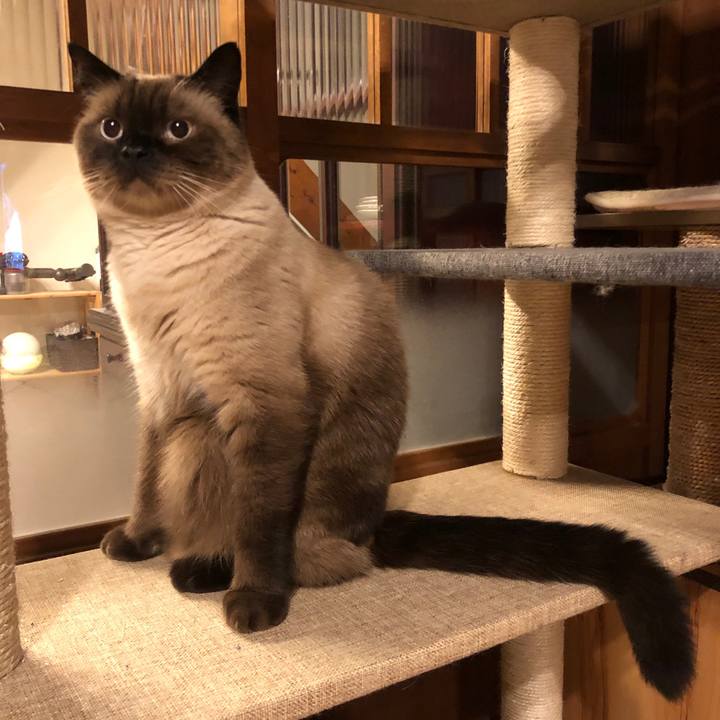 7356b8f2 40be 47de a2ad d79f7a8052ed 1631101601049