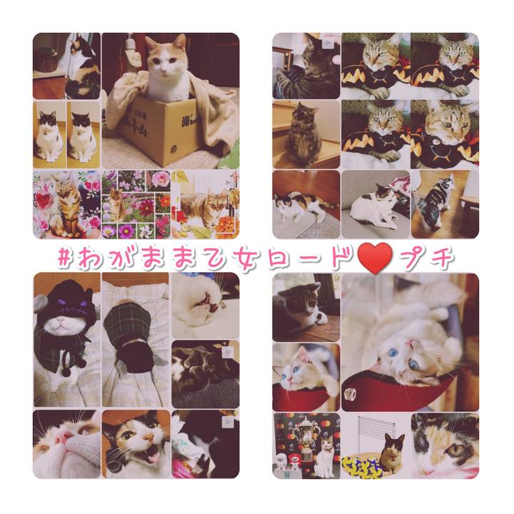 7356bf5a bc2d 494b 8e72 2dd466a6eda0 1570449832108