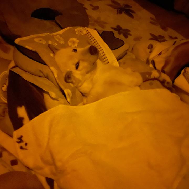 7356d29b f0c5 497b 9c31 8a7fe1597200 1684085004327