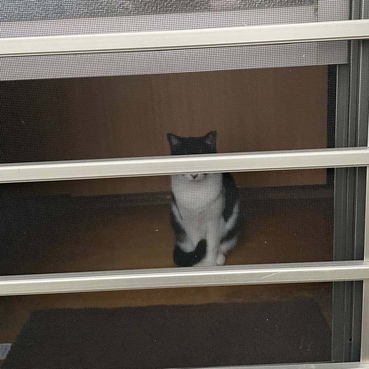 7356d69f 2ab2 4849 b45f d7ca3dd6bdf1 1713805576156