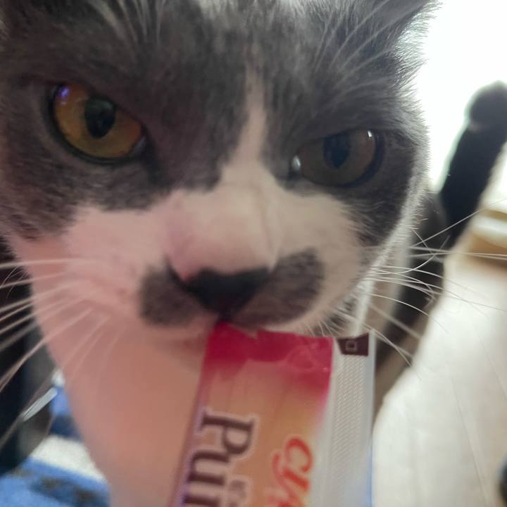 7356e0b0 80cc 471e 8f89 4182f65b6cce 1661078457277