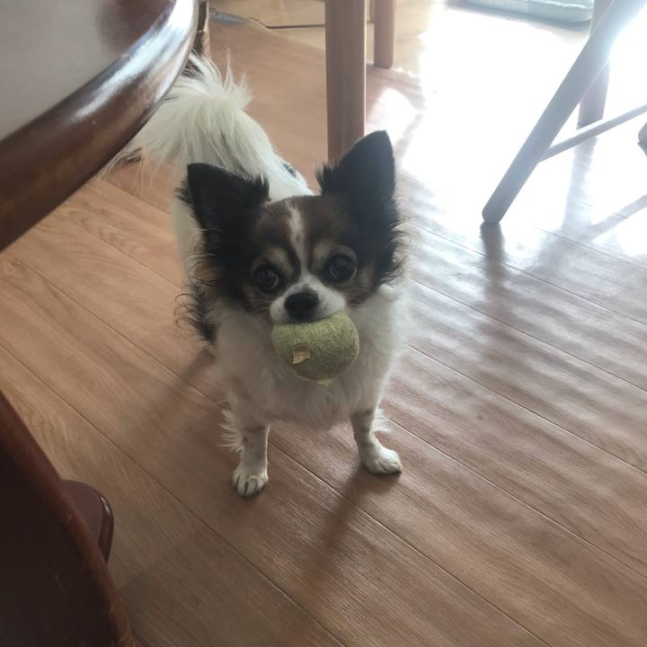 735706ad 02a0 4f48 8a01 874d0935848c 1636856469919