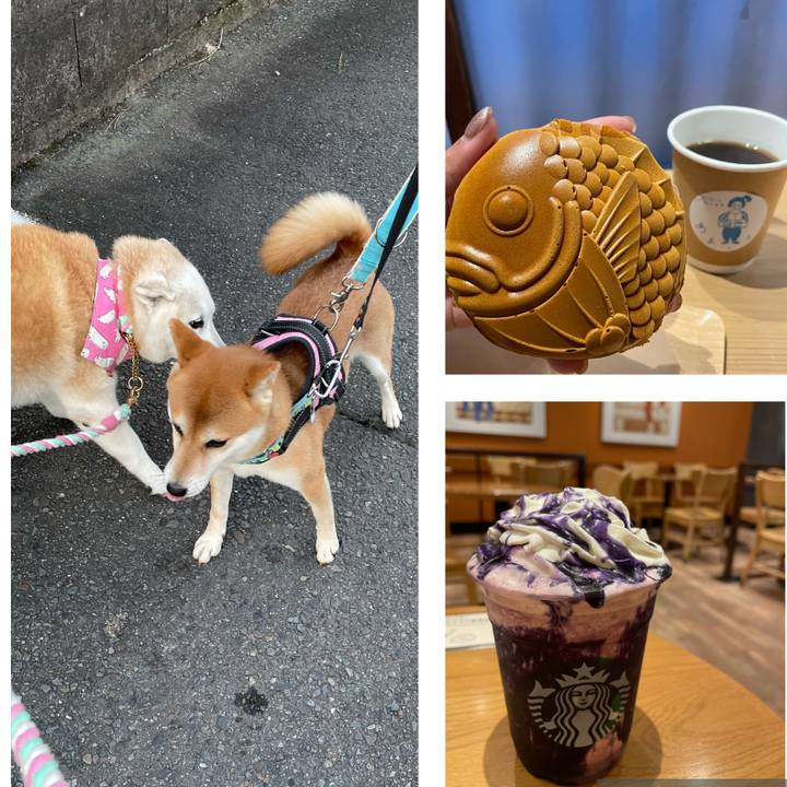 73571cc9 1c09 4f30 aad3 84c12fe449ff 1666240343143