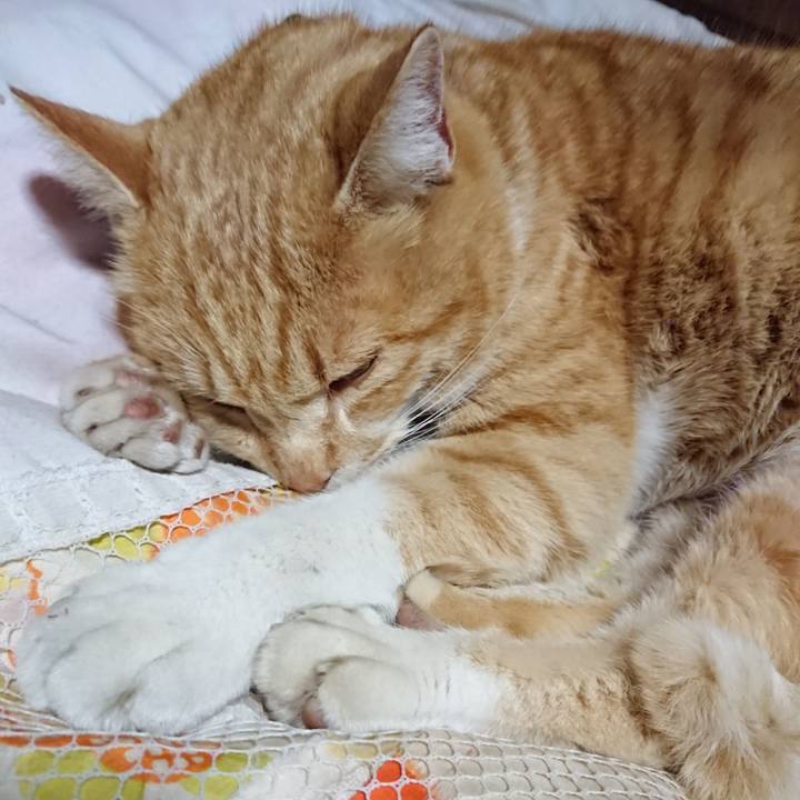 73571df8 c993 4704 87a2 d99ae8c14d38 1581510604083