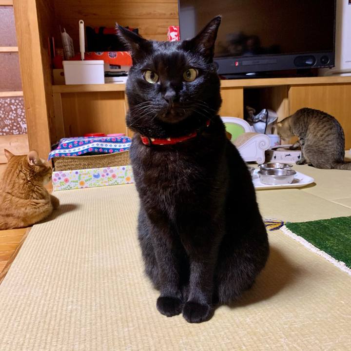 735735bc 3dc6 45ec a3a4 fa8c14e49da9 1605790142743