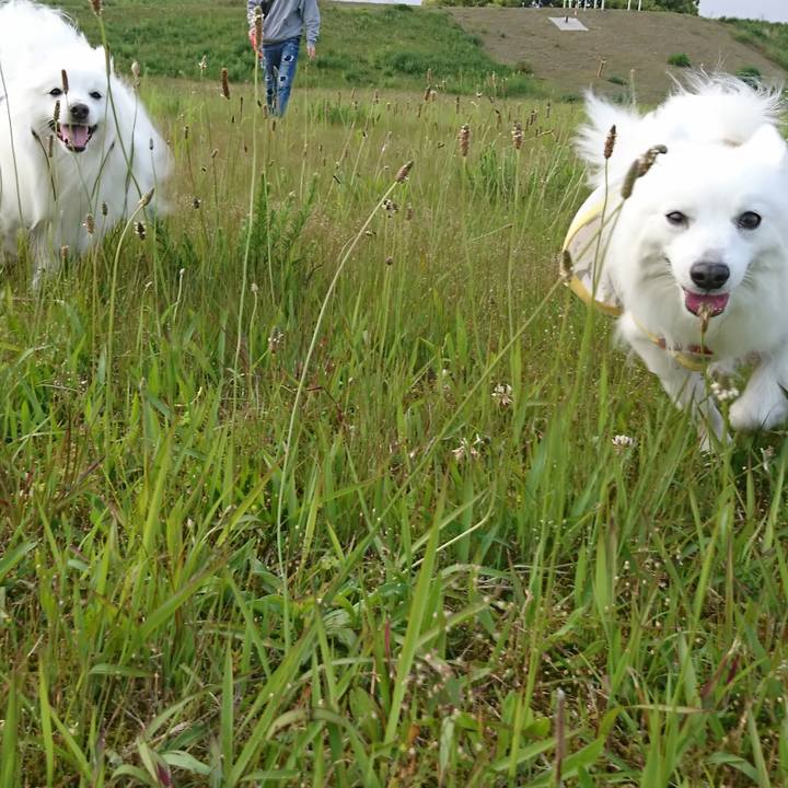 73573748 e96a 4426 8fb6 e7a0c36083d9 1620548532463