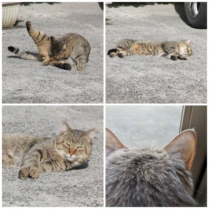 73574c5e f21f 48b4 acbd 9038b3019015 1611547124522