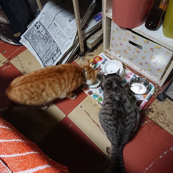 73576d26 935a 4282 a767 16c0fd62604e 1589490531100