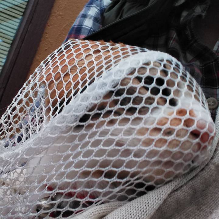 73578076 ba62 4b0e a05a ee8a3c353949 1635324189230