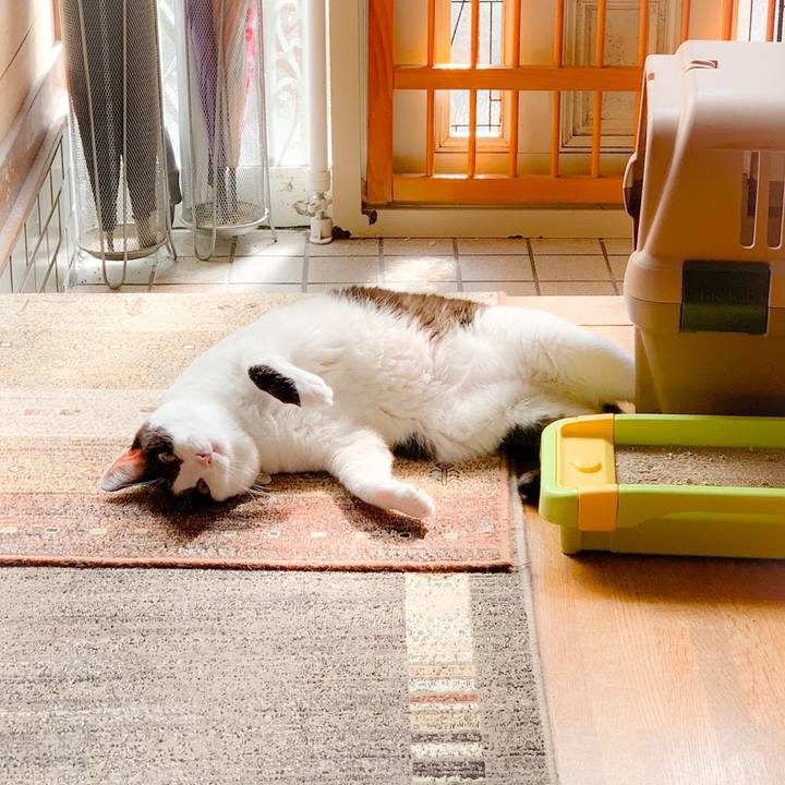 7357caa3 37cb 4eaa 899a 5c2dedb702bd 1561250293463