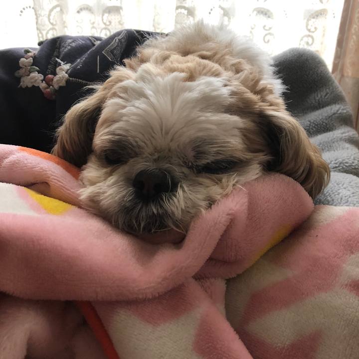 7357eb65 df7e 4360 89f7 896896943916 1585691315603