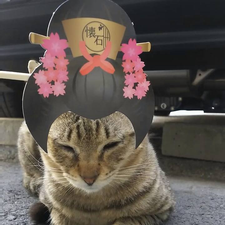 73580469 914f 4891 a991 0bf8bf2c1305 1520149873276