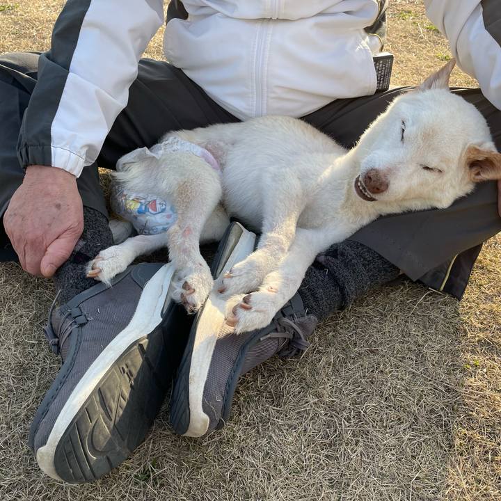 73582791 8896 4daa b8d7 83e4e7596153 1678102393354