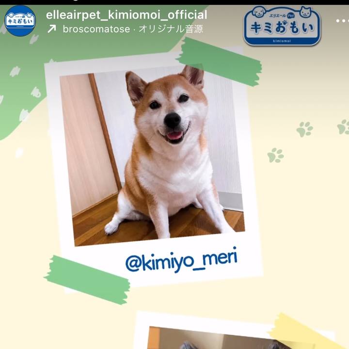 73585378 5ba4 4772 978b c802d1a017f7 1698892698642