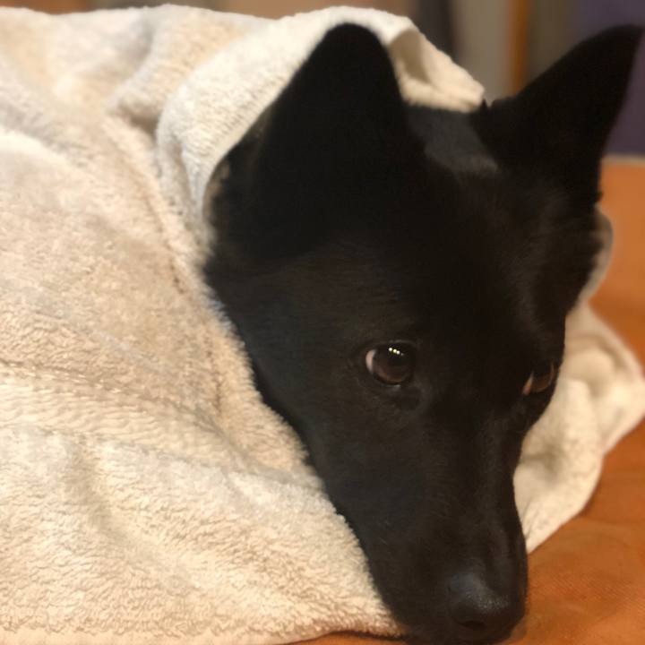 73585d12 c40b 4160 9209 bc380bc6ae1c 1545487264238